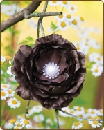 Ruffled Ranunculus Flower Clippie Chocolate
