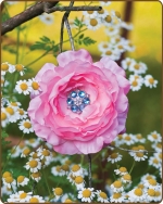 Ruffled Ranunculus Flower Clippie Pink/Turquoise