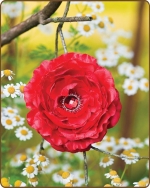 Ruffled Ranunculus Flower Clippie Vibrant Red