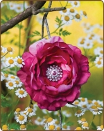 Ruffled Ranunculus Flower Clippie Shades of Pink