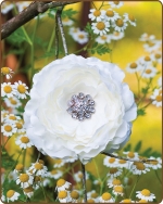 Ruffled Ranunculus Flower Clippie Cream