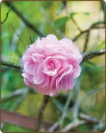 Satin Mesh Flower Clippie - Lt. Pink