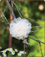 Mesh Flower Clippie - Cream