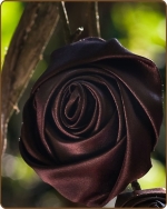 Satin Rose Clippie Brown Large