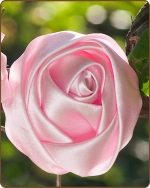 Satin Rose Clippie Lt. Pink Large