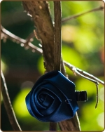 Satin Rose Clippie Navy Mini