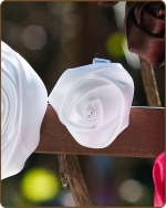 Satin Rose Clippie White Mini