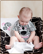 Zebra Set
