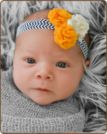 Felt Flowers - Yellow/White on Navy Chevron Elastic