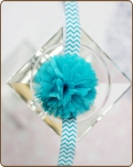 Turquoise Puff on Turquoise Chevron Elastic