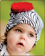 Zebra Knit Beanie