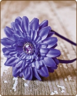 Purple Flower Satin Lined Metal Headband