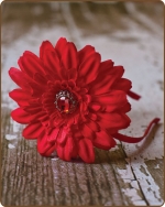 Red Flower Satin Lined Metal Headband