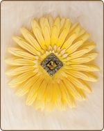 Daisy Flower Clippie Little Touch of Yellow